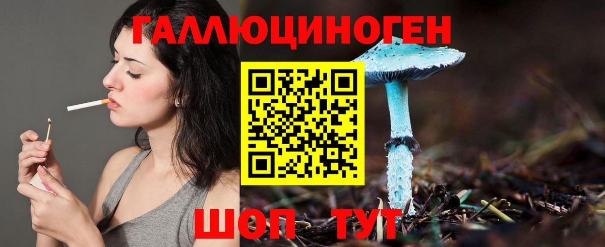 Псилоцибиновые грибы Psilocybe Уварово
